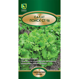 ������ ������ ����� ����� ��16   ����