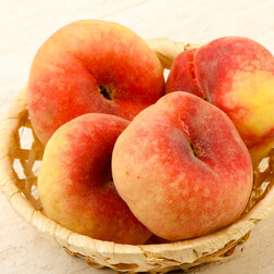 ������ ������ ������ ��������� ����� (������ �����) (� �����)   ����