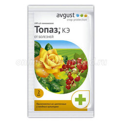 ������ ������ ����� (2��) (�� ��������� ���� � ��������)   ����