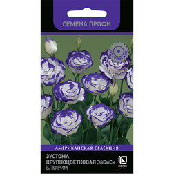 ������ ������ ������� ��������������� ������ ��� ��� (������ �����)   ����