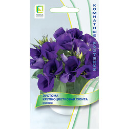 ������ ������ ������� ��������������� ����� �����   ����