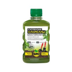 ������ ������ ��������� �������� (0,25�.) ���-��������   ����