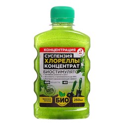 ������ ������ ���������� ��������� �������� (0,25�.) ���-��������   ����