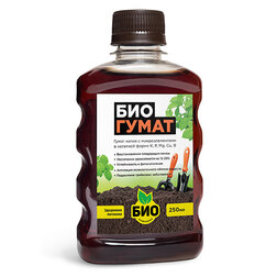 ������ ������ �������� (0,25�.) ���-��������   ����