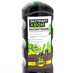 ������ ������ �������� ���� (1�.) ���-��������   ����