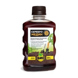 ������ ������ ������������ (0,25�.) ���-��������   ����