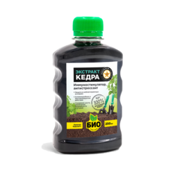 ������ ������ �������� ����� (0,25�.) ���-��������   ����