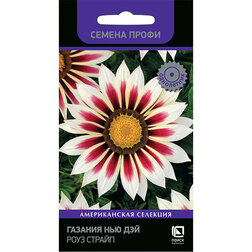 ������ ������ ������� ��� ��� ���� ������ (������ �����)   ����