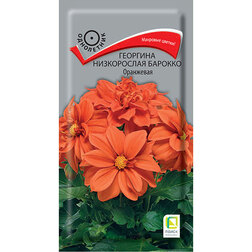 ������ ������ �������� ����������� ������� ���������   ����