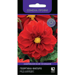 ������ ������ �������� ������ ��� ������ (������ �����)   ����