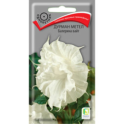 ������ ������ ������ ����� �������� ����   ����