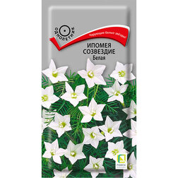 ������ ������ ������ ��������� �����   ����