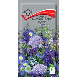 ������ ������ ����� ������� ������ ����� �����   ����