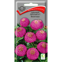 ������ ������ ������ �������� ����������   ����