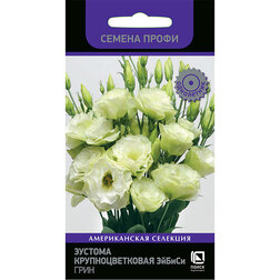 ������ ������ ������� ��������������� ������ ���� (������ �����)   ����