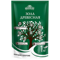 ������ ������ ���� ��������� 1��   ����