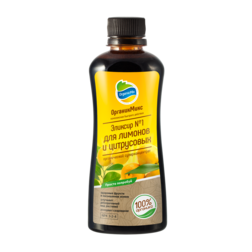 ������ ������ ����������� ������� � 1 ��� ������� (0.25 �)   ����