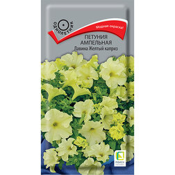 ������ ������ ������� ��������� ������ ������ ������   ����