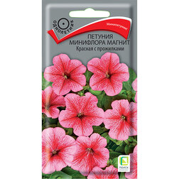 ������ ������ ������� ��������� ������ ������� � ����������   ����