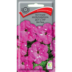 ������ ������ ������� ����������� ��� ���� ��� ����   ����