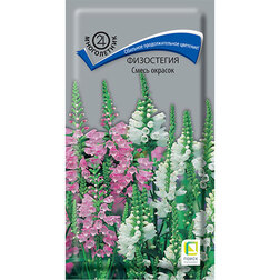 ������ ������ ���������� ����� �������   ����