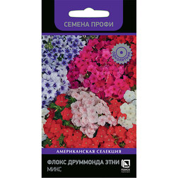 ������ ������ ����� ��������� ���� ���� (������ �����)   ����