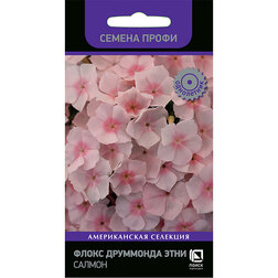 ������ ������ ����� ��������� ���� ������ (������ �����)   ����