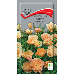 ������ ������ ��������� ������ �����������   ����