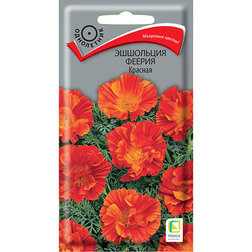 ������ ������ ��������� ������ �������   ����