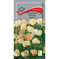 ������ ������ ��������� ������ ��������   ����