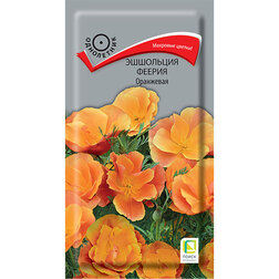 ������ ������ ��������� ������ ���������   ����