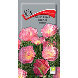 ������ ������ ��������� ������ �������   ����