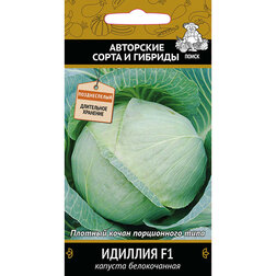 ������ ������ ������� ������������ ������� F1   ����