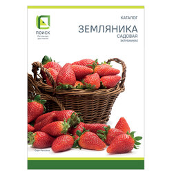 ������ ������ ������� 