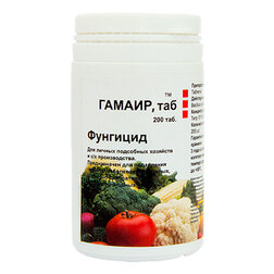 ������ ������ ������ (200 ��������)   ����