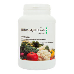 ������ ������ ���������� (1000 ��������)   ����