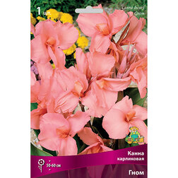 ������ ������ ����� ���������� ����   ����