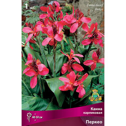 ������ ������ ����� ���������� ������   ����