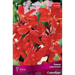 ������ ������ ����� ���������� ���������   ����