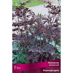 ������ ������ �������� ��������� ������������   ����