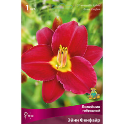 ������ ������ �������� ��������� ���� �������   ����