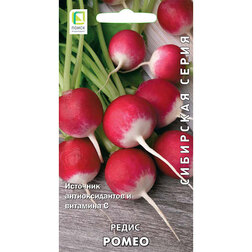 ������ ������ ����� ����� (��������� �����)   ����