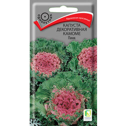 ������ ������ ������� ������������ ������ ����   ����