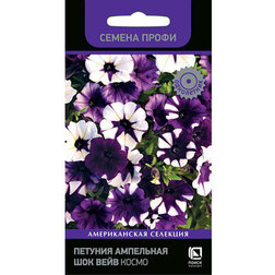 ������ ������ ������� ��������� F1 ��� ���� ����� (������ �����)   ����