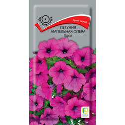 ������ ������ ������� ��������� ����� �����   ����