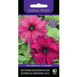 ������ ������ ������� ����������� �������� ������ ���� (������ �����)   ����