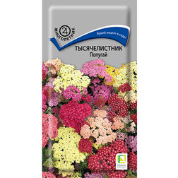 ������ ������ ������������� �������   ����