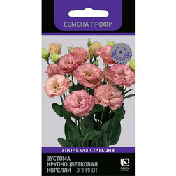 ������ ������ ������� ��������������� ������� ������� (������ �����)   ����