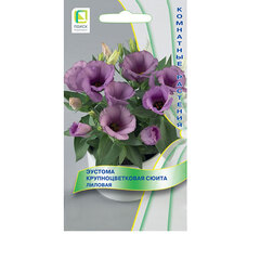 ������ ������ ������� ��������������� ����� �������   ����