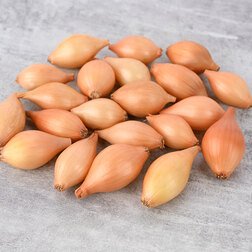 ������ ������ ���-����� ������ (1��-0,5��)   ����